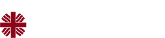 Caritas footer logo